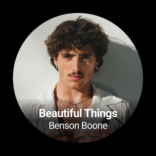 Shazam: Find Music & Concerts screenshot 13