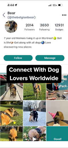 DogPack: Dog Friendly Spots screenshot 1