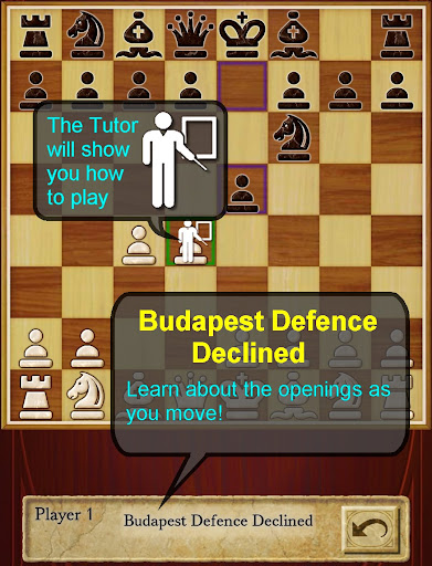 Chess Pro screenshot 12