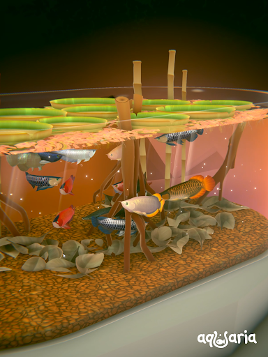 AQUALIA screenshot 13