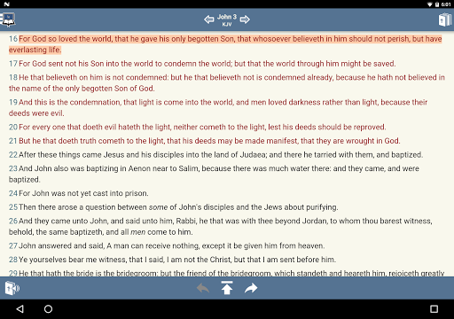 Blue Letter Bible screenshot 14