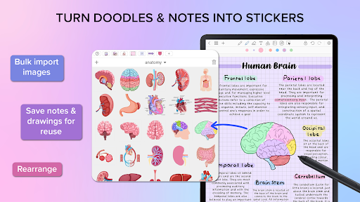 Penly: Digital Planner & Notes screenshot 20
