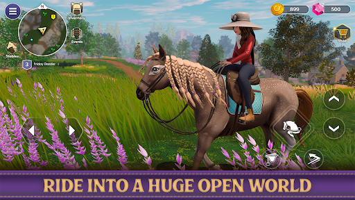 Star Equestrian - Horse Ranch screenshot 21