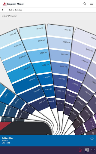 Color Portfolio screenshot 2