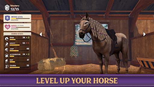 Star Equestrian - Horse Ranch screenshot 8