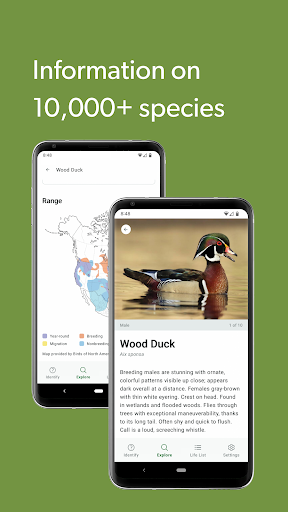 Merlin Bird ID by Cornell Lab screenshot 4