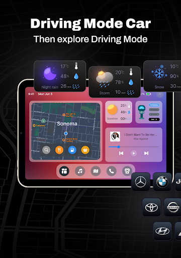 CarLink - Car Play Connect screenshot 23