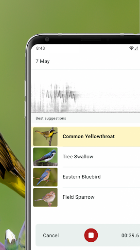 Merlin Bird ID by Cornell Lab screenshot 8