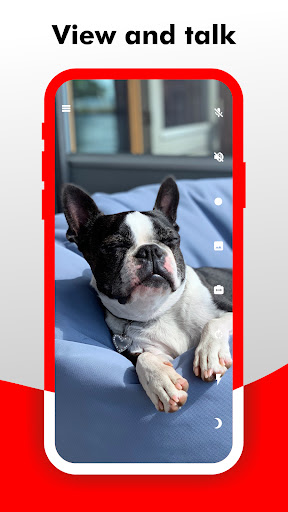 Camy — Live Video CCTV screenshot 11