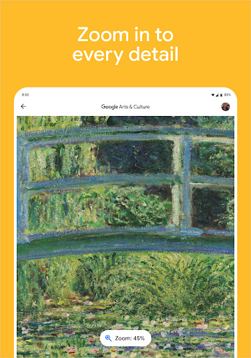 Google Arts & Culture screenshot 15