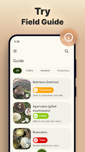 Mushroom Identification screenshot 4