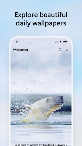 Microsoft Bing Search screenshot 4