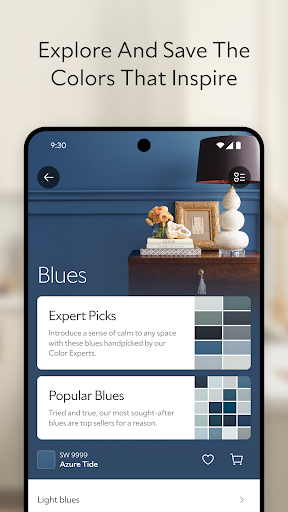 Sherwin-Williams Color Expert™ screenshot 3