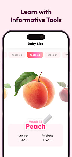 WeMoms Pregnancy Baby Tracker screenshot 16
