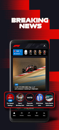 Formula 1® screenshot 1