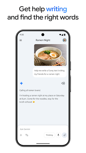 Google Gemini screenshot 6