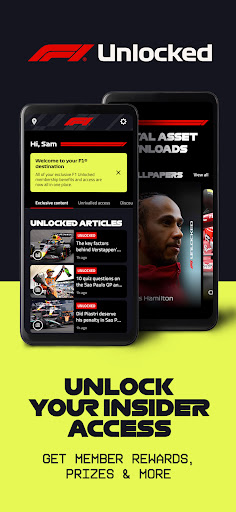 Formula 1® screenshot 21