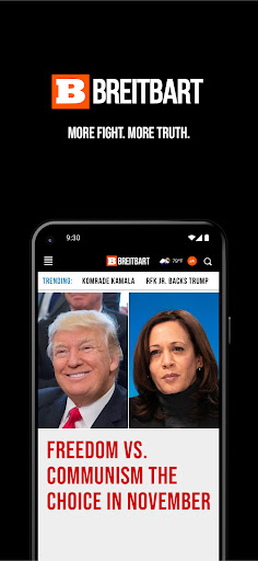 Breitbart screenshot 3