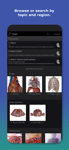 Human Anatomy Atlas 2026 screenshot 6