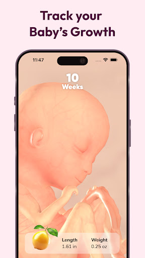 WeMoms Pregnancy Baby Tracker screenshot 10