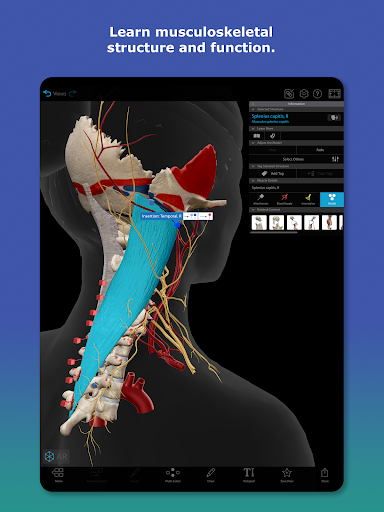 Human Anatomy Atlas 2026 screenshot 7