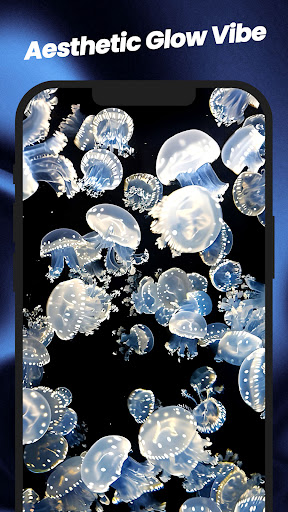 Wallpapers:Live&Control Center screenshot 14