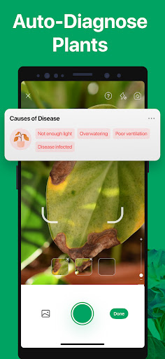 PictureThis - Plant Identifier screenshot 13