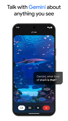 Google Gemini screenshot 4