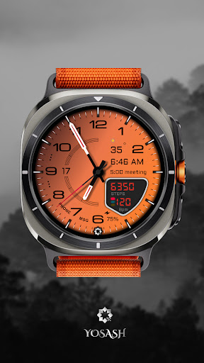 D355 Premium Watch Face screenshot 12