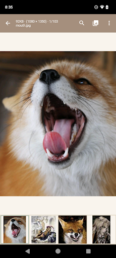 Read Chan (Paid), 4chan Reader screenshot 5