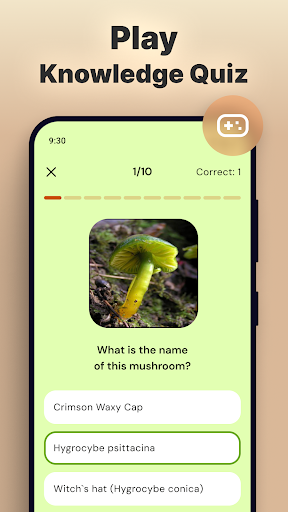 Mushroom Identification screenshot 6