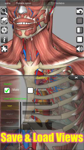 3D Anatomy screenshot 15