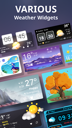 Weather Live screenshot 5