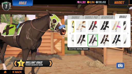 Rival Stars Horse Racing screenshot 18