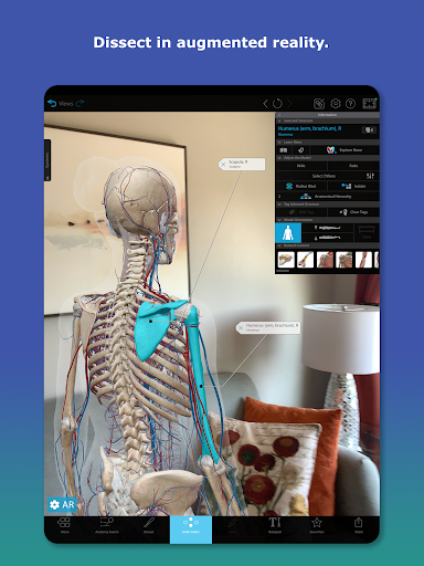 Human Anatomy Atlas 2026 screenshot 15