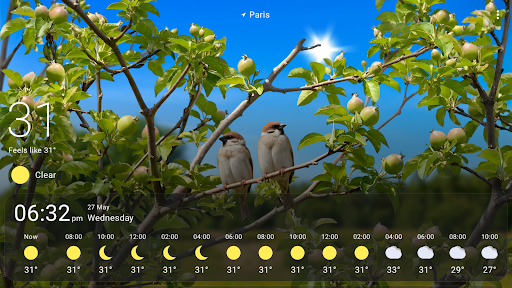 Weather Live Wallpapers screenshot 7