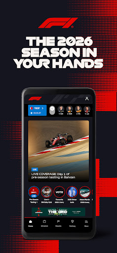 Formula 1® screenshot 22