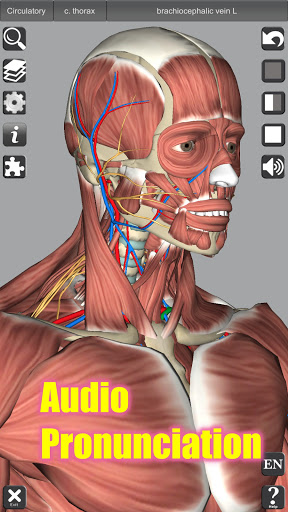 3D Anatomy screenshot 21