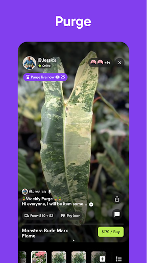 Palmstreet: Buy & Sell LIVE screenshot 8