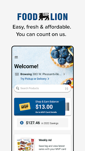 Food Lion screenshot 5