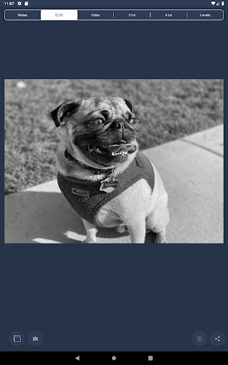 NotanIzer screenshot 14