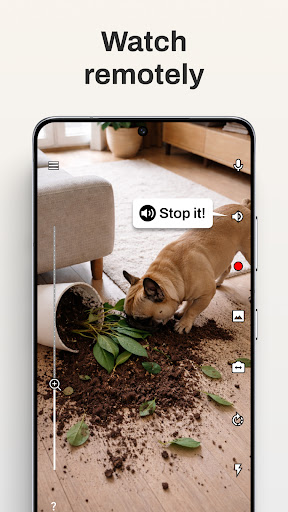 Camy — Live Video CCTV screenshot 12