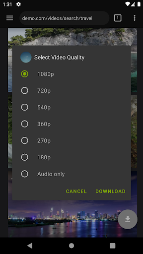Video Downloader Pro screenshot 1