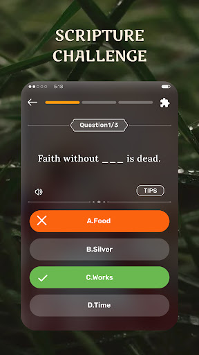 My Bible - Verse+Audio screenshot 5