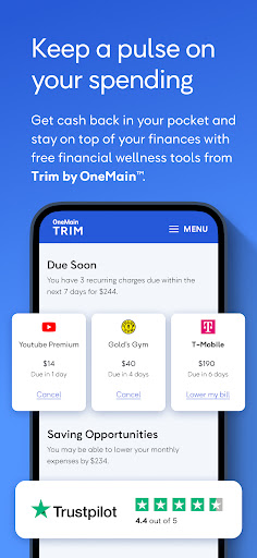 OneMain Financial screenshot 2