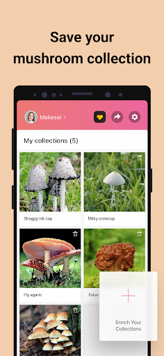 Picture Mushroom - Mushroom ID screenshot 3