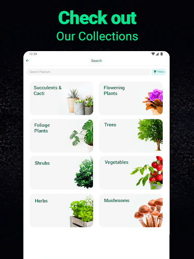 Plantum - Plant Identifier screenshot 28