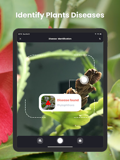 PlantIn Plant Identifier, Care screenshot 12