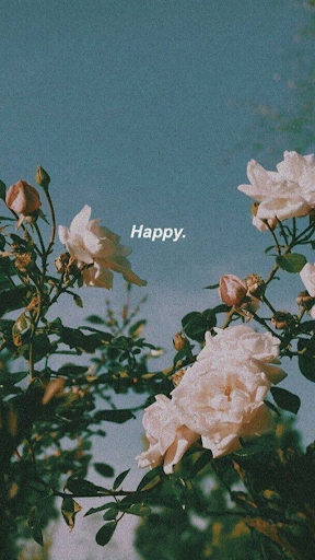 aesthetic background screenshot 14