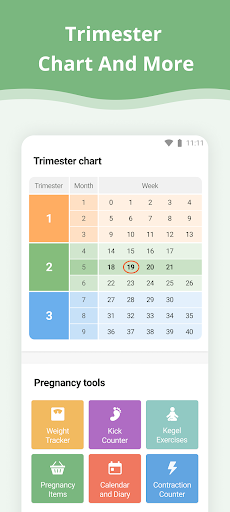 Pregnancy App screenshot 1